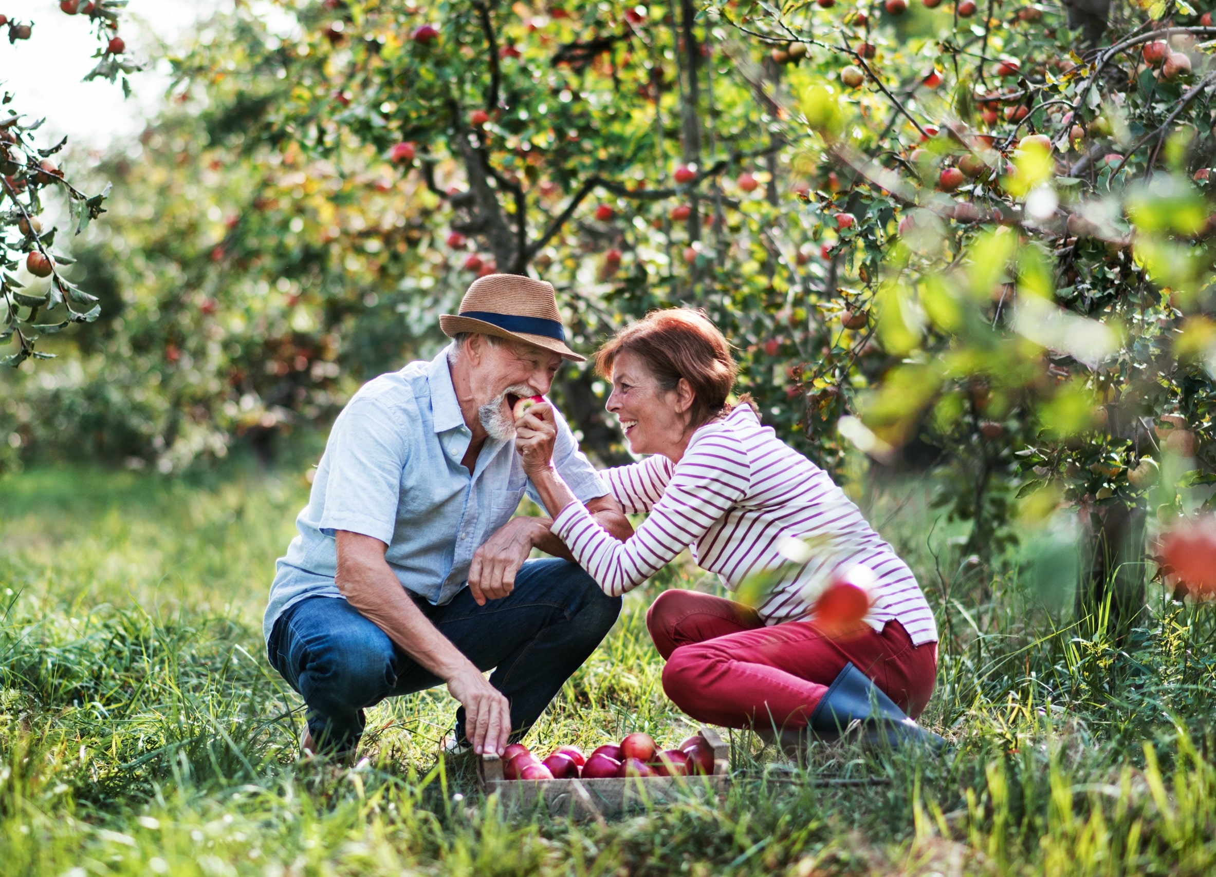 Scapa de proteza mobila